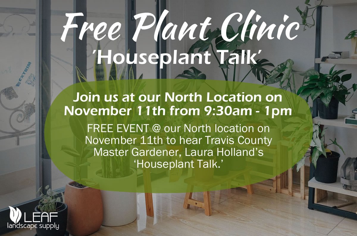 Plant_Clinic_11-11-2023_1 Free Plant Clinic - Houseplant Talk