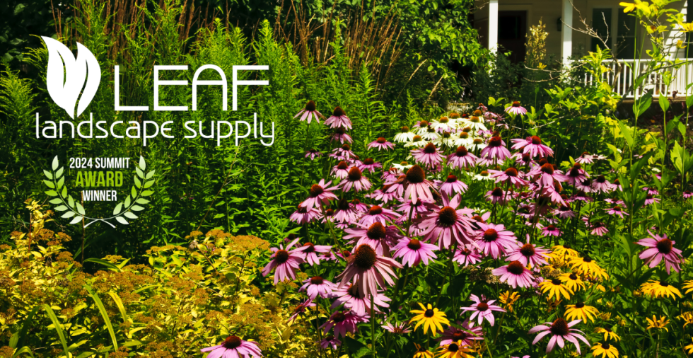 Tree Nursery in Austin Texas 78703 Leaf Landscape Supply