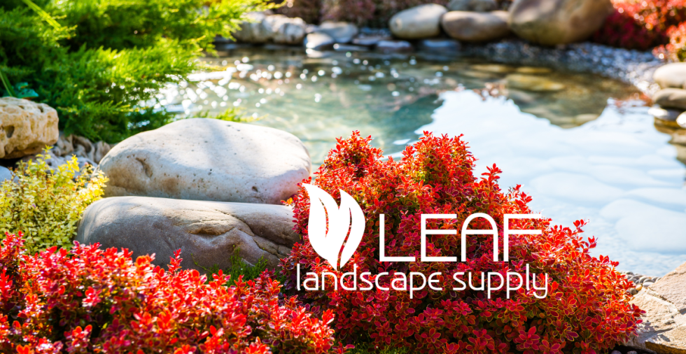 Tree Nursery in Austin Texas 78723 Leaf Landscape Supply