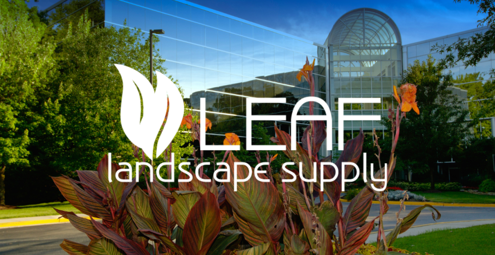 Tree Nursery Near Me Your Destination for Quality Plants and