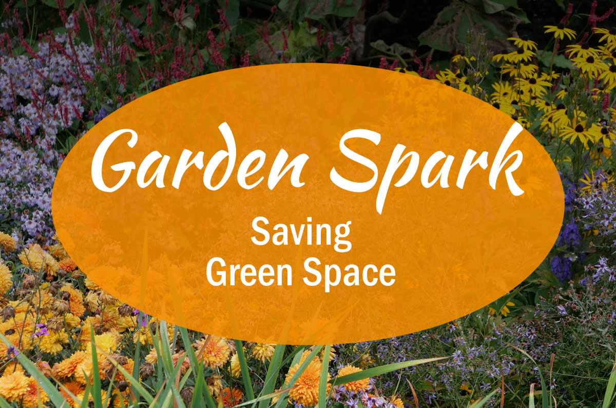 April 10th - Saving Green Space