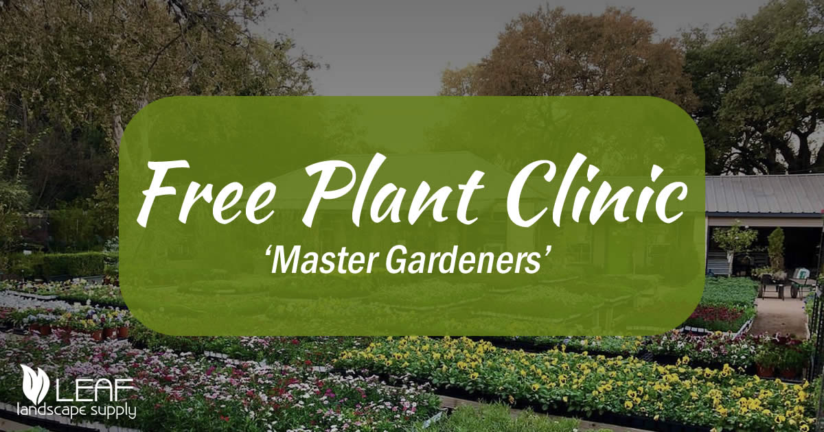 Free Master Gardeners Plant Clinic