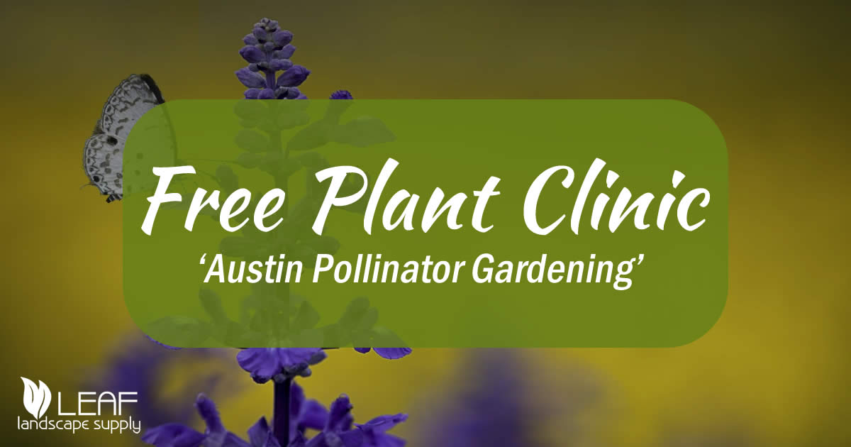 Plant Clinic May 10th 2025