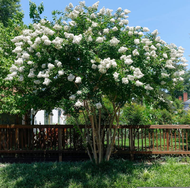 Landscaping Tips May 2025 2 – Leaf Landscape Supply
