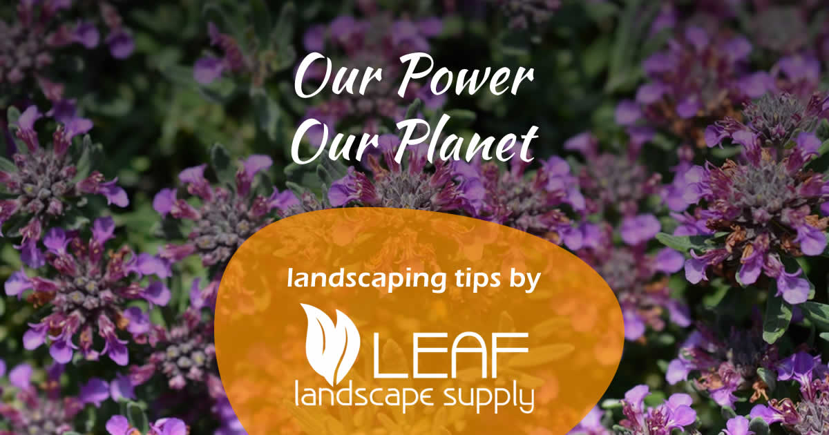 Our Power, Our Planet