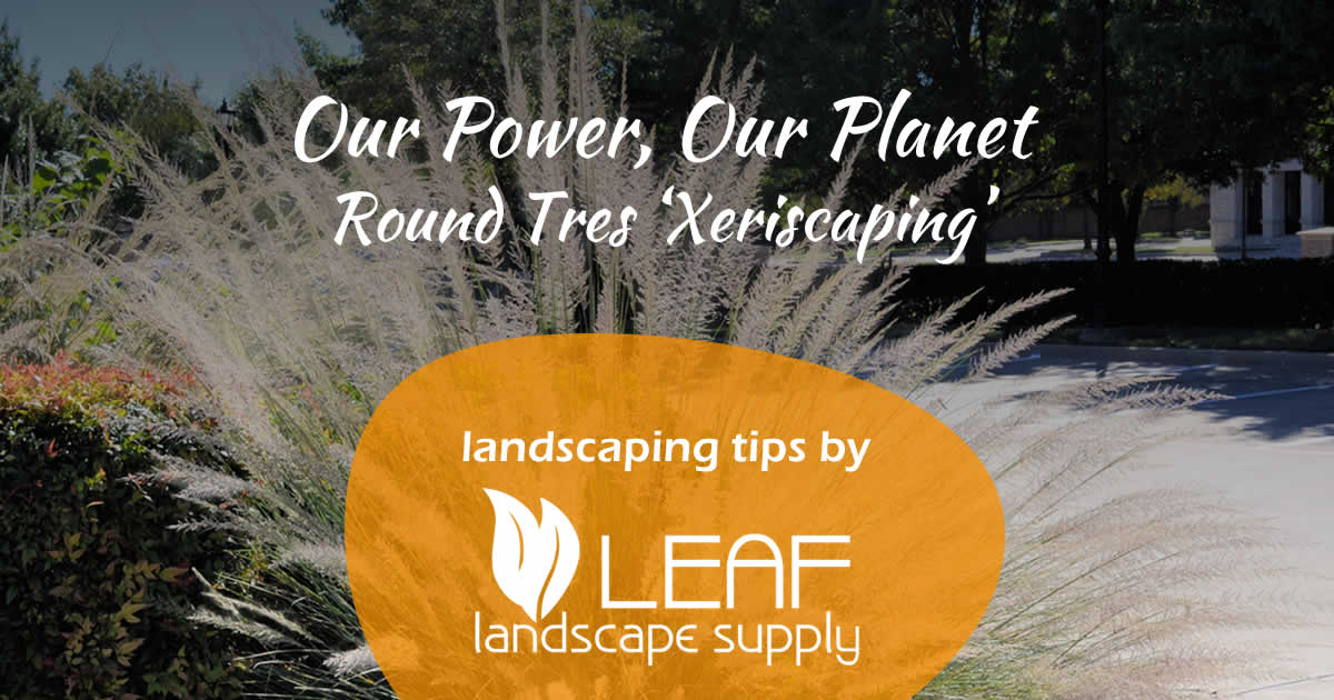 Our Power, Our Planet – Round Tres ‘Xeriscaping’