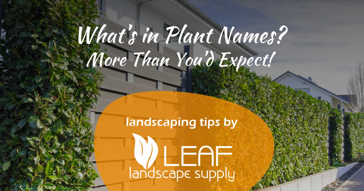 Leaf Landscape Supply