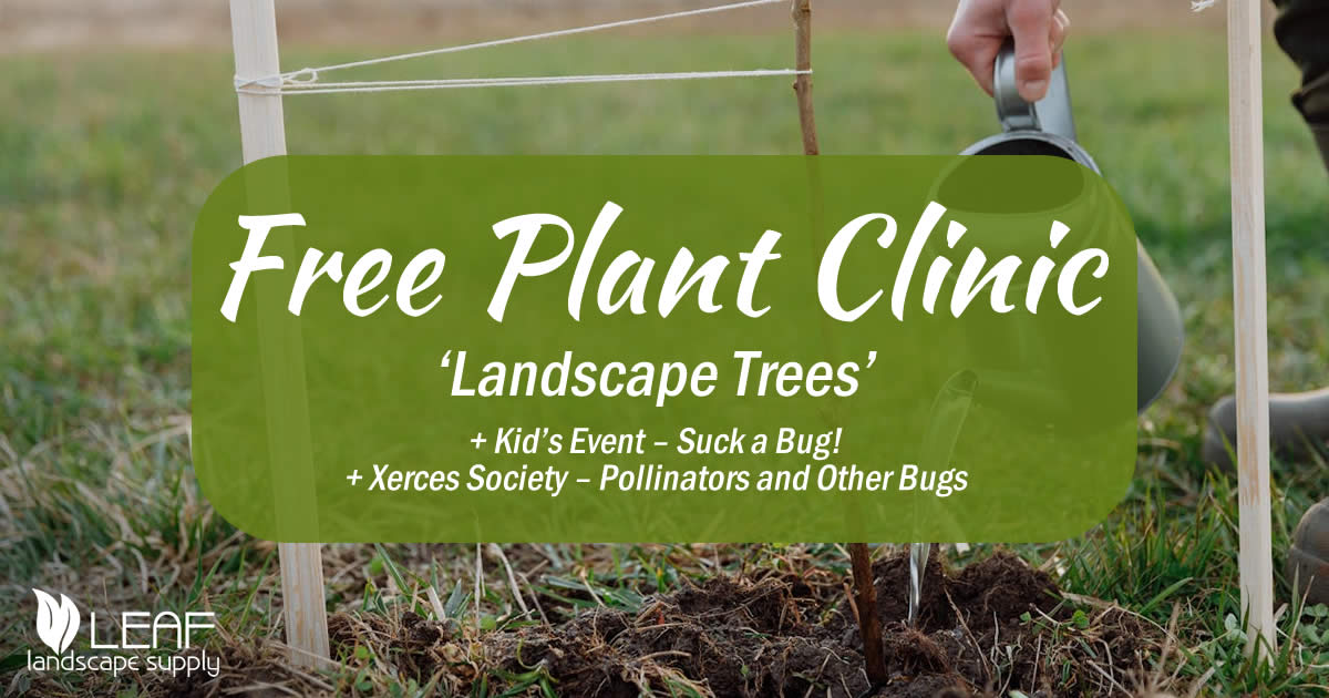 Plant Clinic May 10th 2025