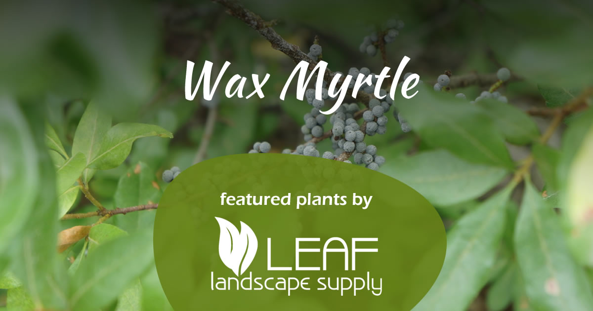 Leaf Landscape Supply