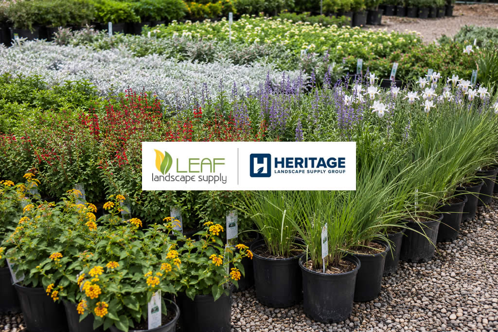 Summer Plant Sale for Wholesale Customers!