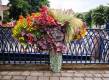 Dynamic Posts - Featured Plants