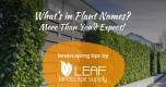 Dynamic Posts Slide - Landscaping Tips