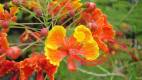 Summer Vibrance!